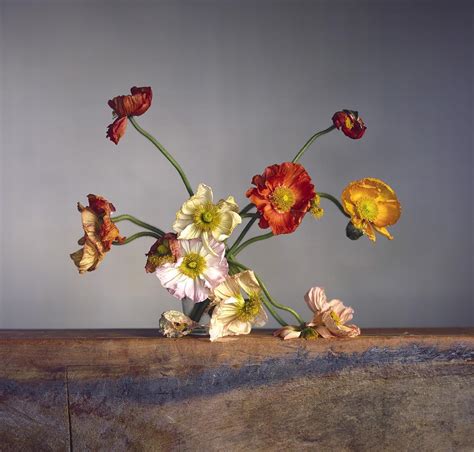 Irving Penn Photography Flowers