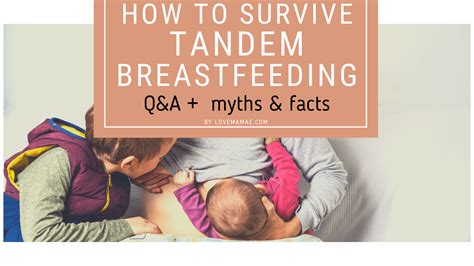 How To Survive Tandem Breastfeeding Myths And Facts Love Mamãe
