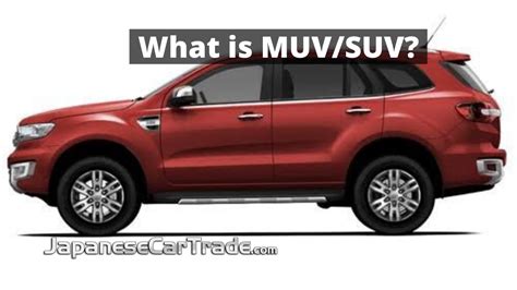 What Is Muvsuv