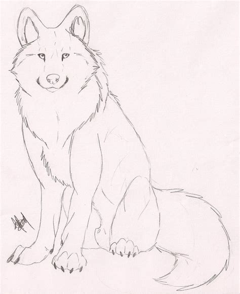 Speed Drawing Wolf Sketch By Rurouna On Deviantart
