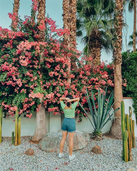 A Woman Standing In Front Of Pink Flowers And Palm Trees With Her Arms