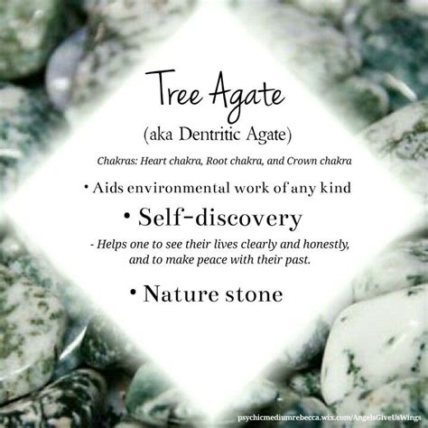 The 25+ best Dendritic agate ideas on Pinterest | Beautiful rocks, Gems