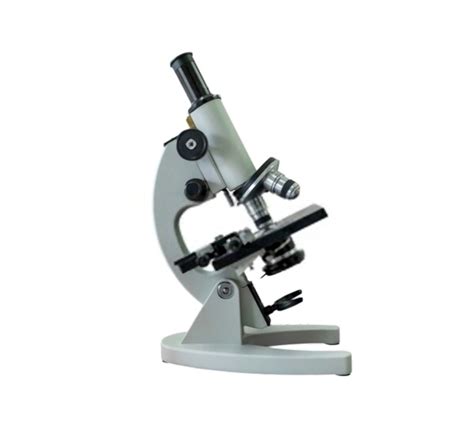 Compound Light Microscope Everything You Need To Know