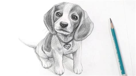 25 Easy Puppy Drawing Ideas How To Draw A Puppy