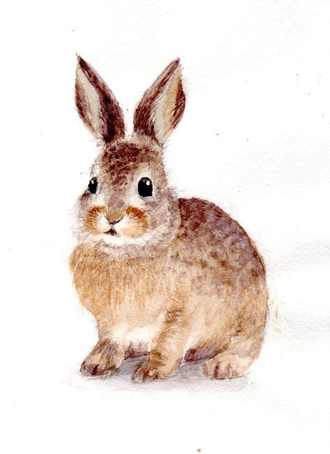 Bunnycottage Baby Animal Drawings Bunny Painting Bunny Art