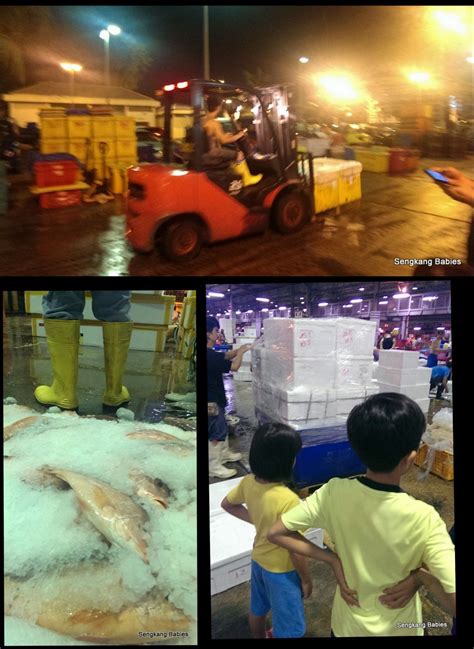 Singapore food agency headquarters address. Jurong Fishery port with kids - Sengkang Babies