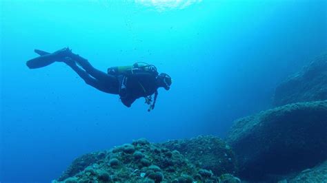 Scuba Diving Guided Reef And Bay Dives In Gozo By Blue Waters Dive Cove