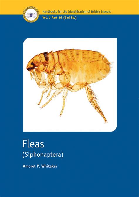 Fleas Siphonaptera Field Studies Council