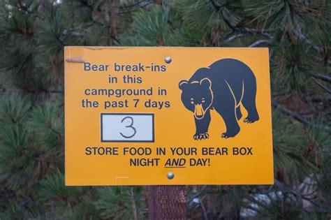 How To Keep Bears Away From Your Campsite Bear Safety Tips