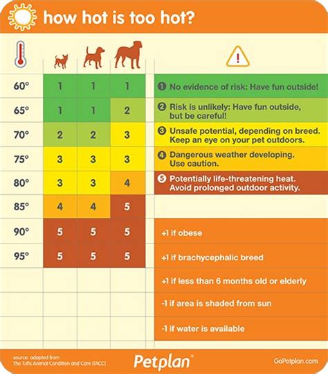 Dog Walk Temperature Chart