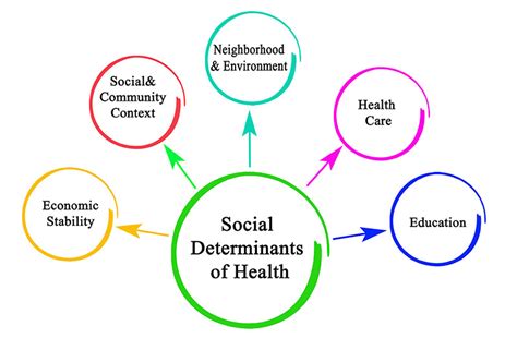 Determinantes Sociales En Salud Mind Map My Xxx Hot Girl