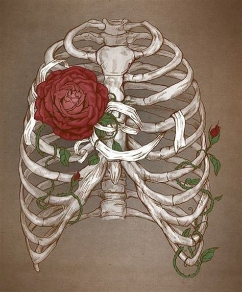 A Drawing Of A Skeleton With A Rose In Its Rib Caged Back