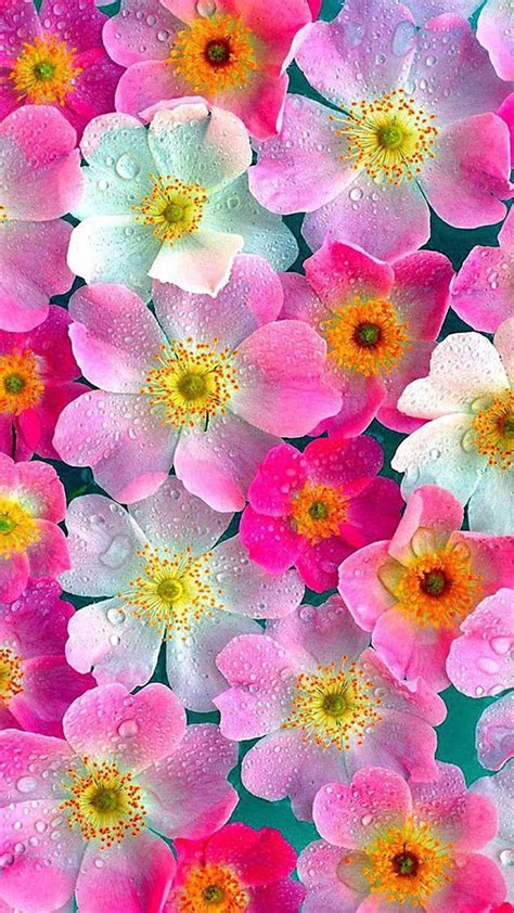 Floral Flower Wallpapers Iphone Android Flower Wallpaper Pink Flowers Wallpaper Neon