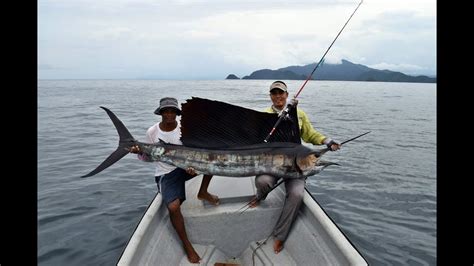 Cristian Vanegas Pesca En Bahia Solano Pez Vela O Sailfish Fishing