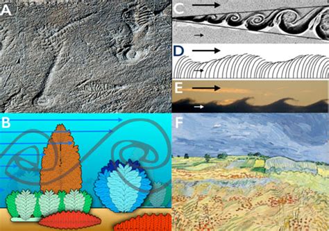 Study Reveals Why Life In Earths Early Oceans Increased In Size