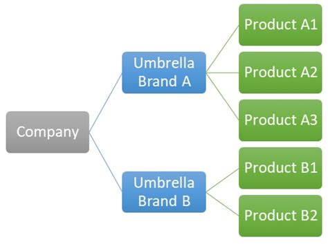 Umbrella Brand Definition Importance And Example Marketing Overview