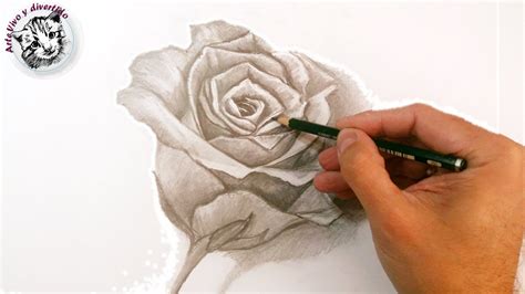Top Imagen Rosas Dibujos A Lapiz Thptnganamst Edu Vn