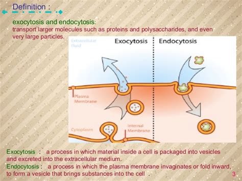 Endocytosis is a type of active transport that moves particles, such as large molecules, parts of cells,. Exocytosis and Endocytosis {Best one}