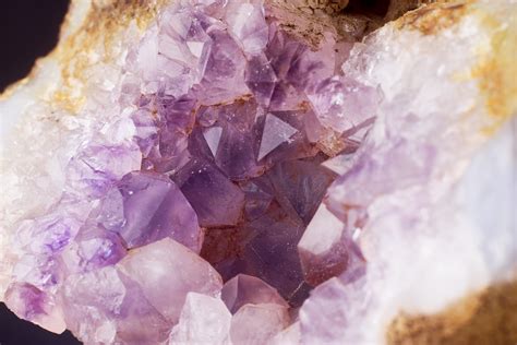 Free Images Flower Petal Pink Close Up Jewellery Amethyst