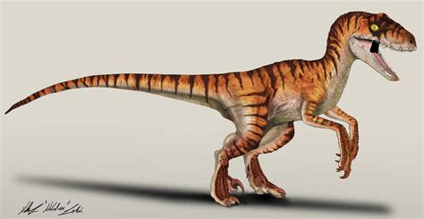 The Lost World Jurassic Park Velociraptor Male By Nikorex On Deviantart Jurassic Park World