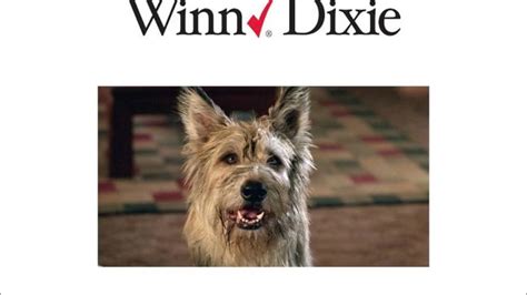 Cabaret by emmylou harris lyrics. Because of Winn Dixie Book Trailer - YouTube
