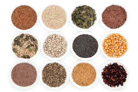 Types Of Plant Seeds Current Smart Quiz
