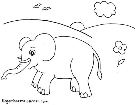 Mewarnai Gambar Binatang Sketch Coloring Page