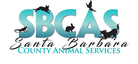 Santa Barbara County Animal Services Santa Barbara California