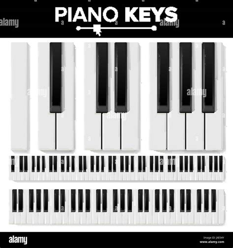 Piano Keyboard Vector Realistic Isolated Illustration Musical Piano