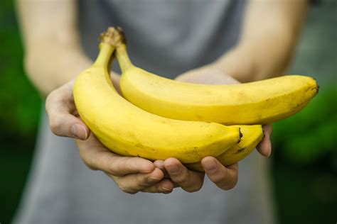Genetically Modified Bananas Out To Stop Cavendish Catastrophe