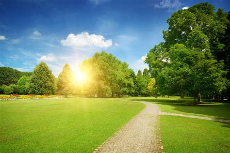 Sunrise In The Beautiful Park Stock Photo Download Image Now Istock