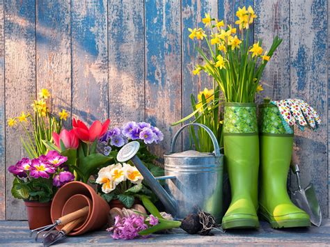 19 Gardening Tips That Save Time Money And Effort Readers Digest