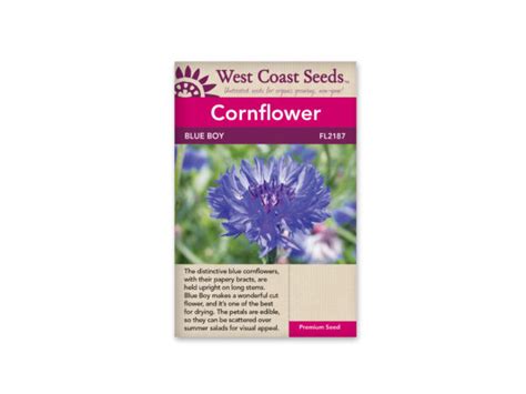 Centaurea Blue Boy West Coast Blue Grass Nursery Sod And Garden