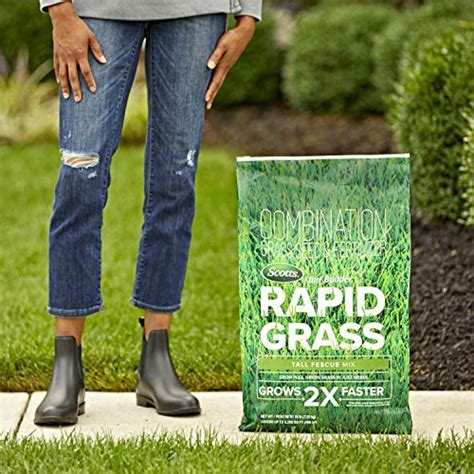 Scotts Turf Builder Rapid Grass Tall Fescue Mix Up To 5280 Sq Ft