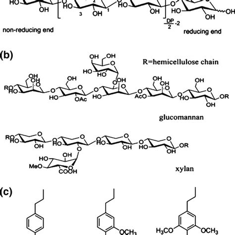 Structure Of Lignocellulose Lauria Et Al 2015 Download Scientific Diagram