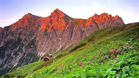 Slope Of Flower Plants And Landscape Of Red Covered