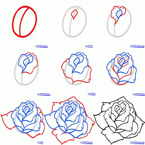 How To Draw A Rose Step By Step Roses Drawing Rose Drawing Flower