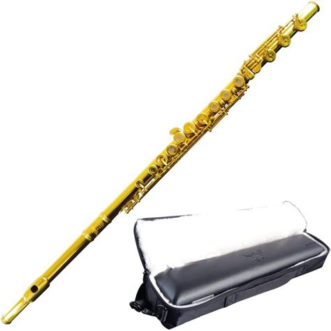 The 7 Best Professional Flute Reviews 2023 Instrumentsguru