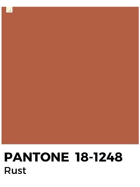 Warm And Earthy Rust Color Inspiration