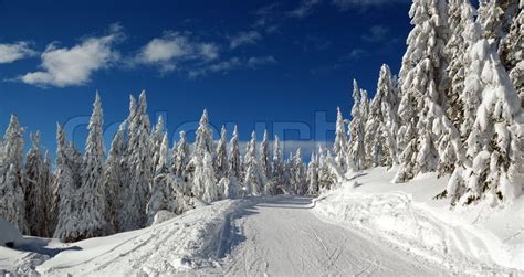Best of global landscape architecture in your mailbox twice per month! Winter landscape with snow in mountains, Slovakia | Stock ...