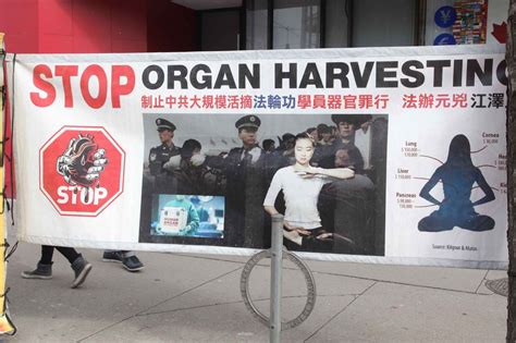 The Ugly Truth About Chinas Organ Harvesting