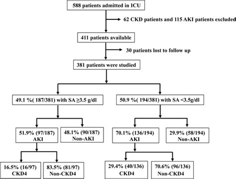 An Overall Flow Diagram Of The Study Aki Acute Kidney Injury Ckd