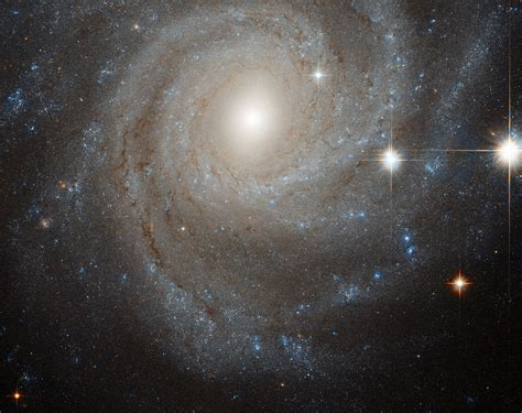 Galaxy In A Spin Ngc 3344 Is A Glorious Spiral Galaxy Arou Flickr