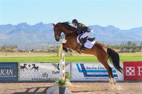 Jump Jargon A Simple Guide To Horse Jumping Terms Horse Rookie