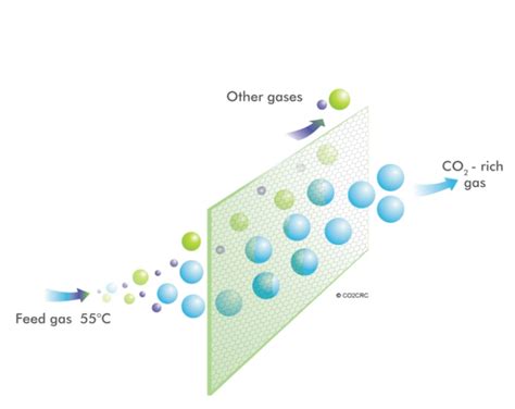 Carbon Dioxide Separation By Membrane Selectivity Cooperative Research