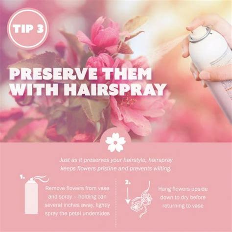 Adding an aspirin to your vase as soon as you receive your flowers has been an internet favourite a quick google search brings back over 400,000 results, but how is aspirin supposed to keep your flowers fresher longer? How To Keep Fresh Flowers Alive Video Instructions ...