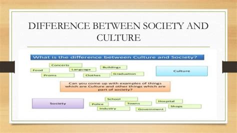 Society And Culture