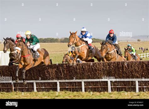 Point To Point Horse Racing Larkhill Wiltshire England Stock Photo Alamy