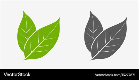 Tea Leaves Icon Set Green And Gray Isolated Vector Image