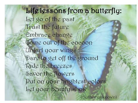 Butterfly Quotes And Sayings Quotesgram